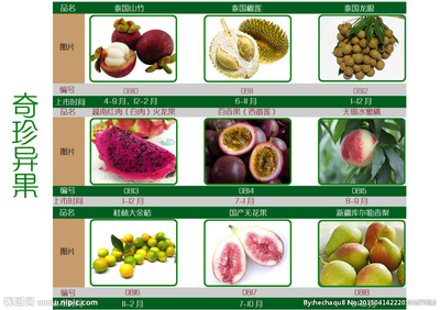 水果销售传单设计图 打造吸睛淘宝店铺装修方案