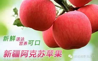微送水果工厂店12家门店同庆盛典 每日供应依旧秒光，水果为何至此抢购大战？