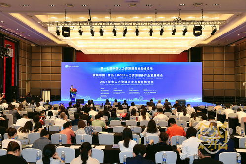 乘风破浪，金划算集团引领人力资源服务蓝海与水果销售新机遇